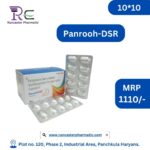 PANROOH DSR 10_10